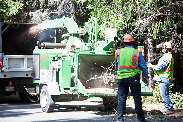 Lawn Watering Services in Los Fresnos, TX